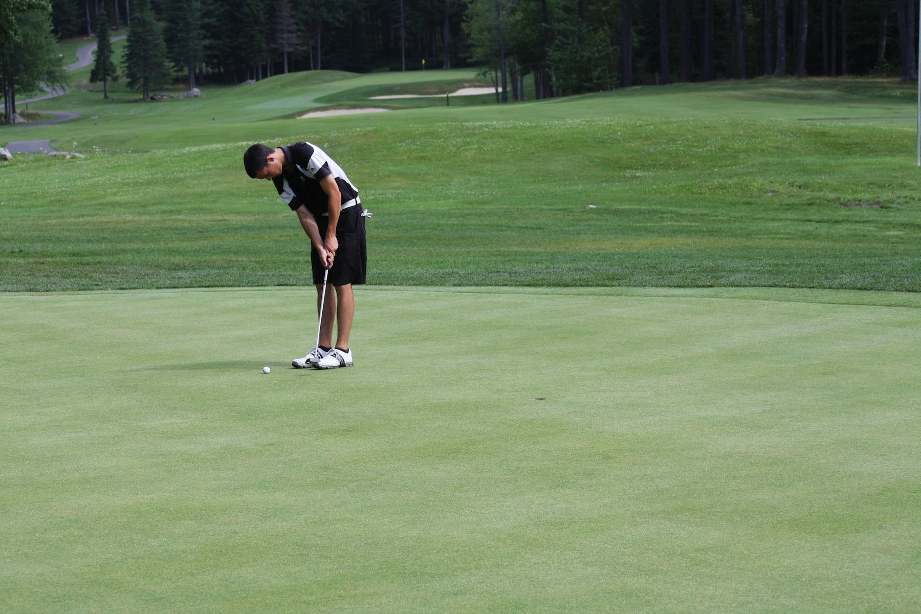 71 Greensward Drive Grantham, NH 03753 - Photo 49 of 53