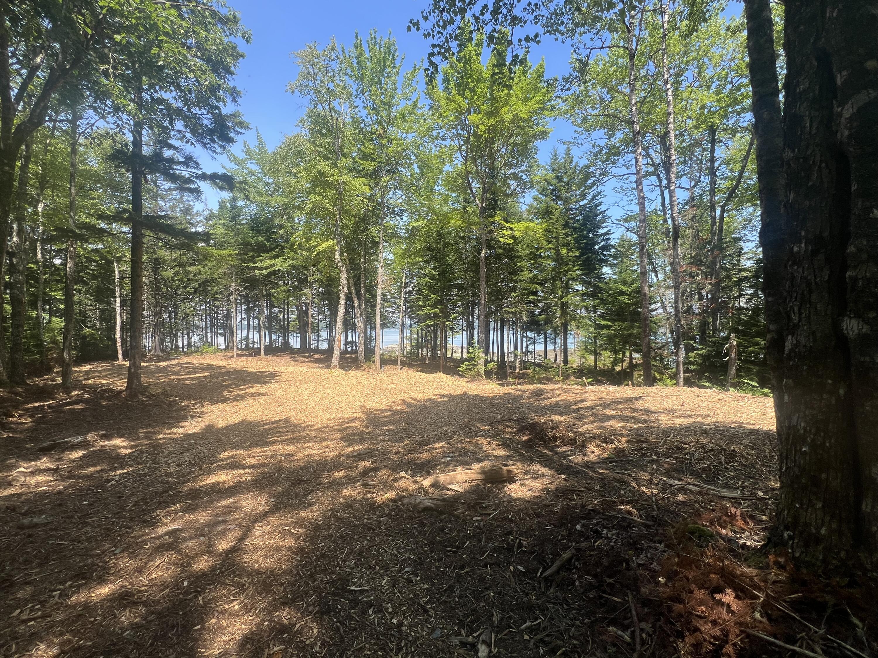 Lot #3 Seal Point Road Lamoine, ME 04605 - Photo 6 of 13 IMG_2829