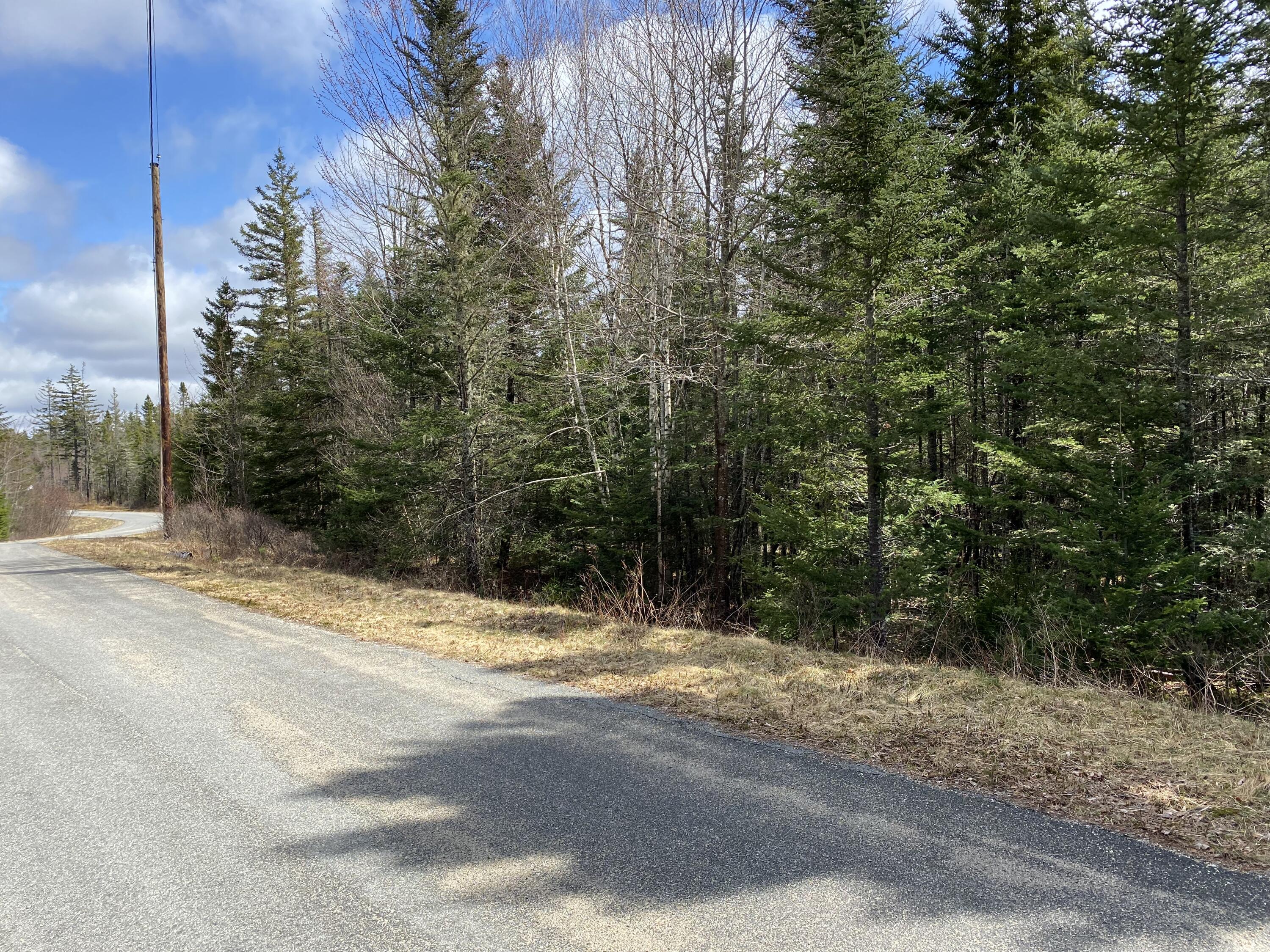 12 Sandpiper Shores Road Gouldsboro, ME 04607 - Photo 11 of 12 Roadside