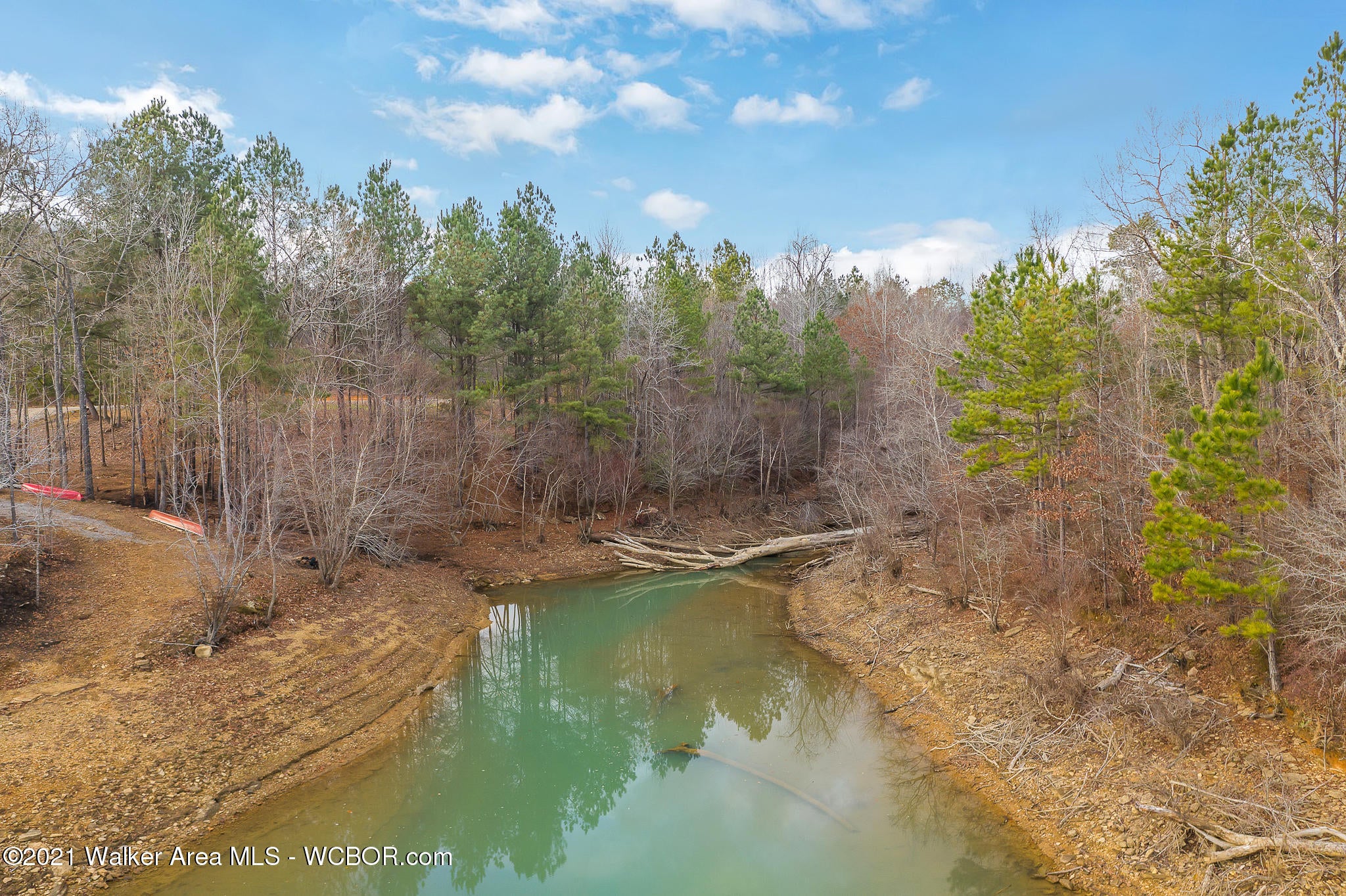113 County Road Double Springs, AL 35553 - Photo 8 of 37 Gallery Image 8