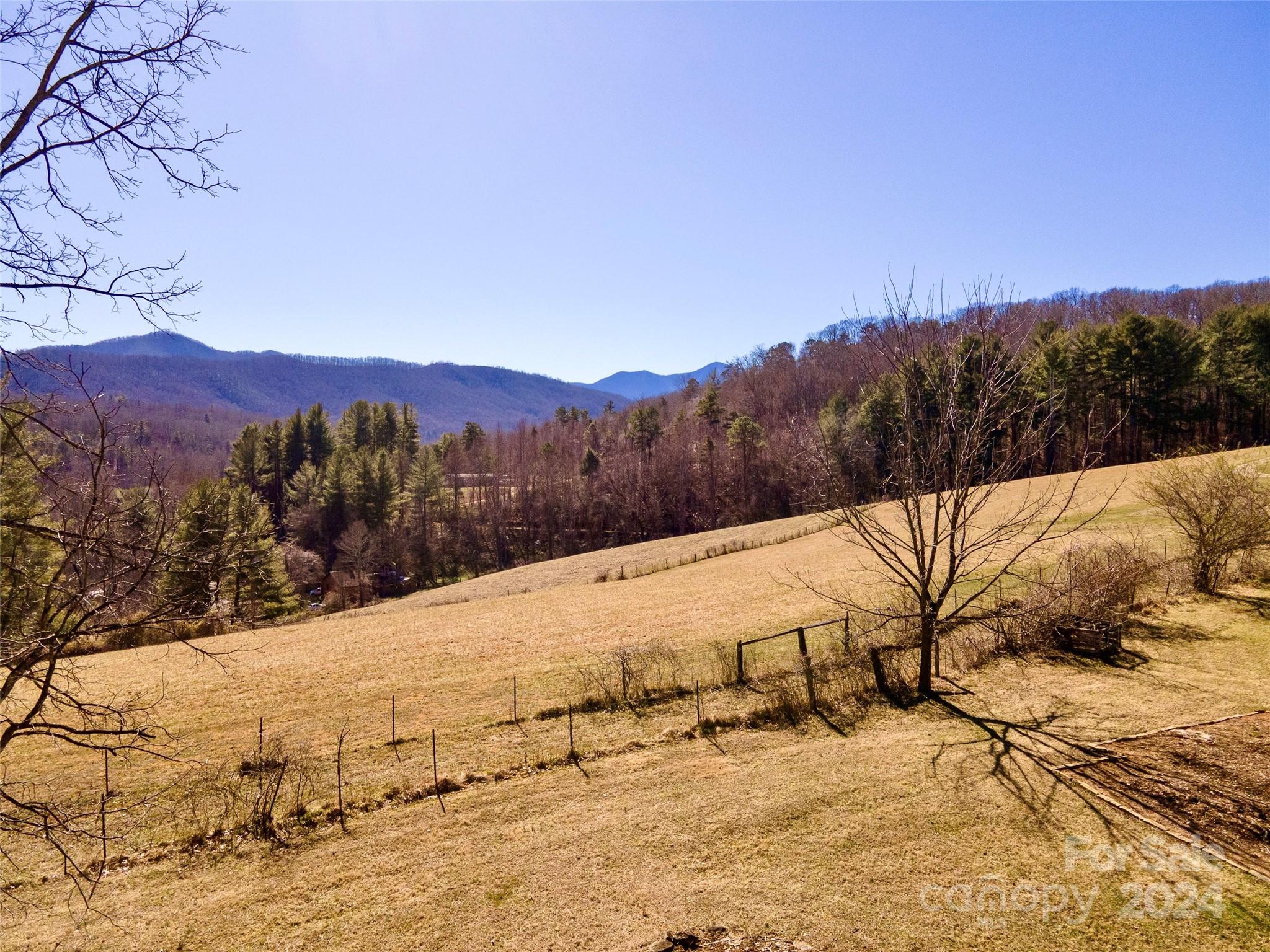 248 Bailey Road Candler, NC 28715 - Photo 32 of 47 Gallery Image 32