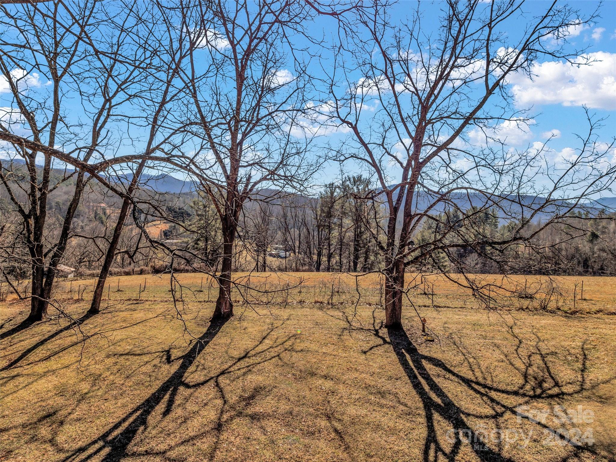 248 Bailey Road Candler, NC 28715 - Photo 33 of 47 Gallery Image 33