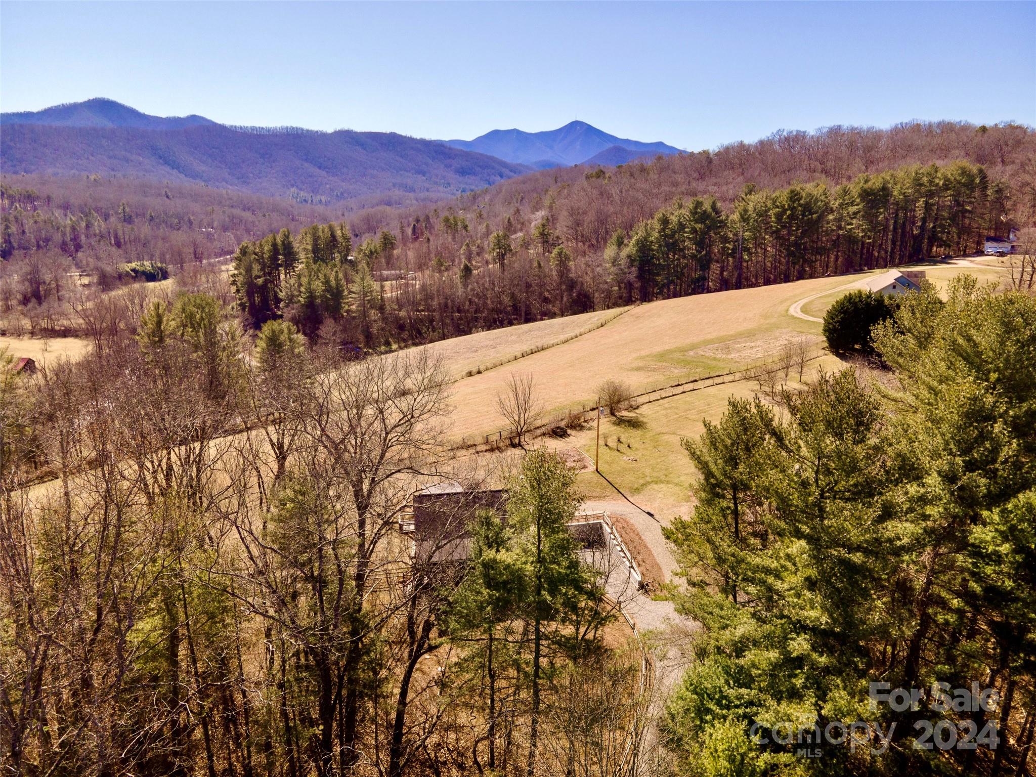 248 Bailey Road Candler, NC 28715 - Photo 46 of 47 Gallery Image 46