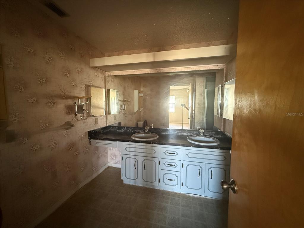 34847 Learn Road Leesburg, FL 34788 - Photo 15 of 25 a view of a bathroom with sink and mirror