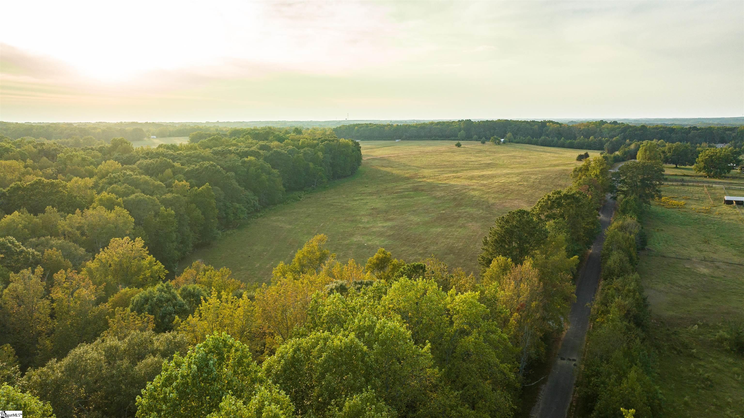 2 Taylor Road, Unit TRACT 2 Honea Path, SC 29654 - Photo 6 of 17