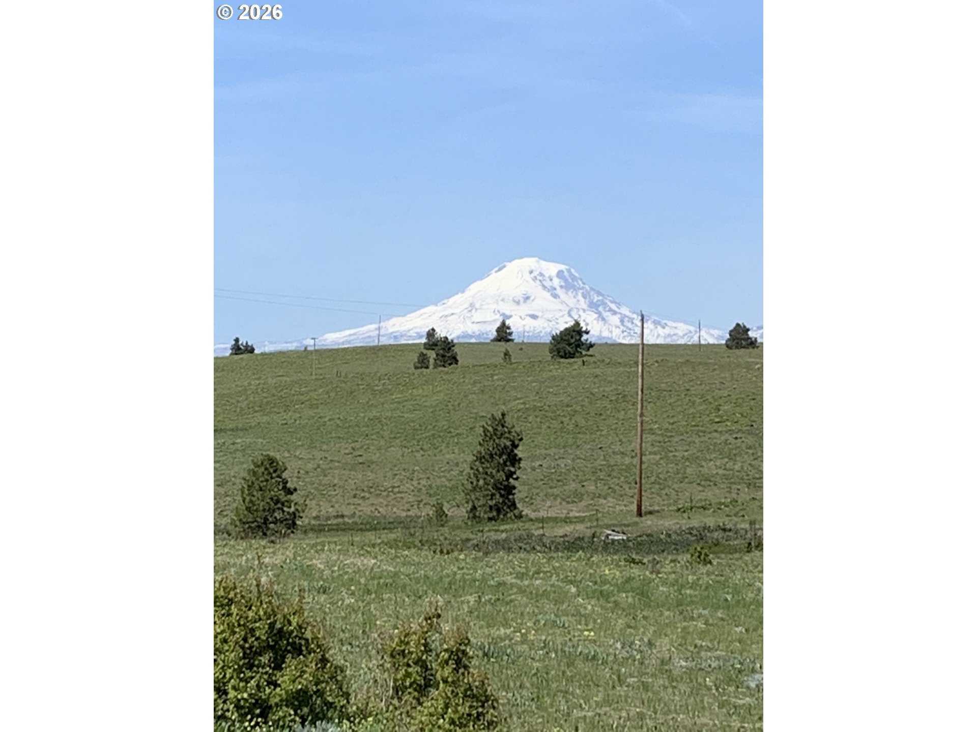 45 Clark Road Lyle, WA 98635 - Photo 14 of 48
