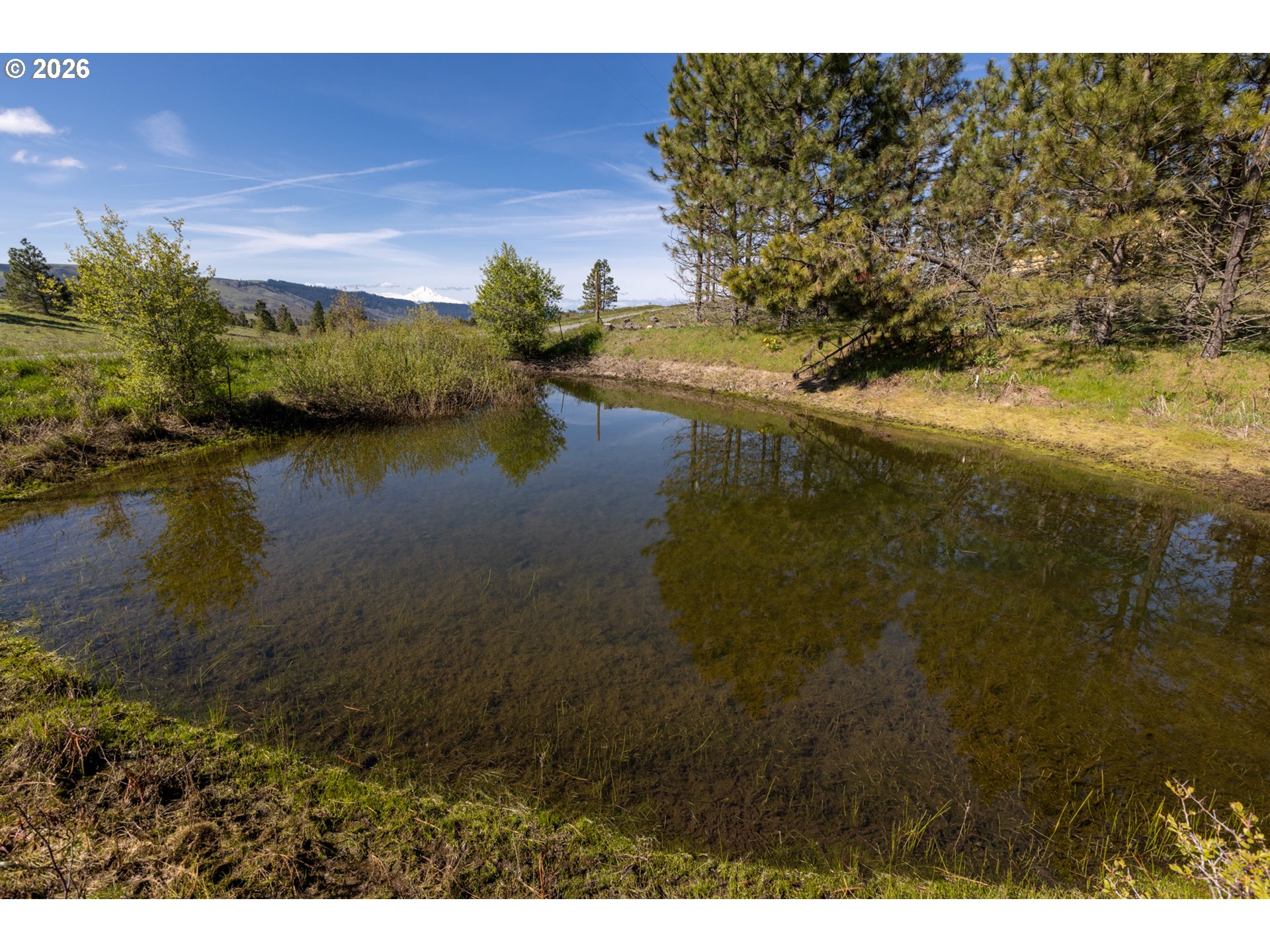 45 Clark Road Lyle, WA 98635 - Photo 21 of 48