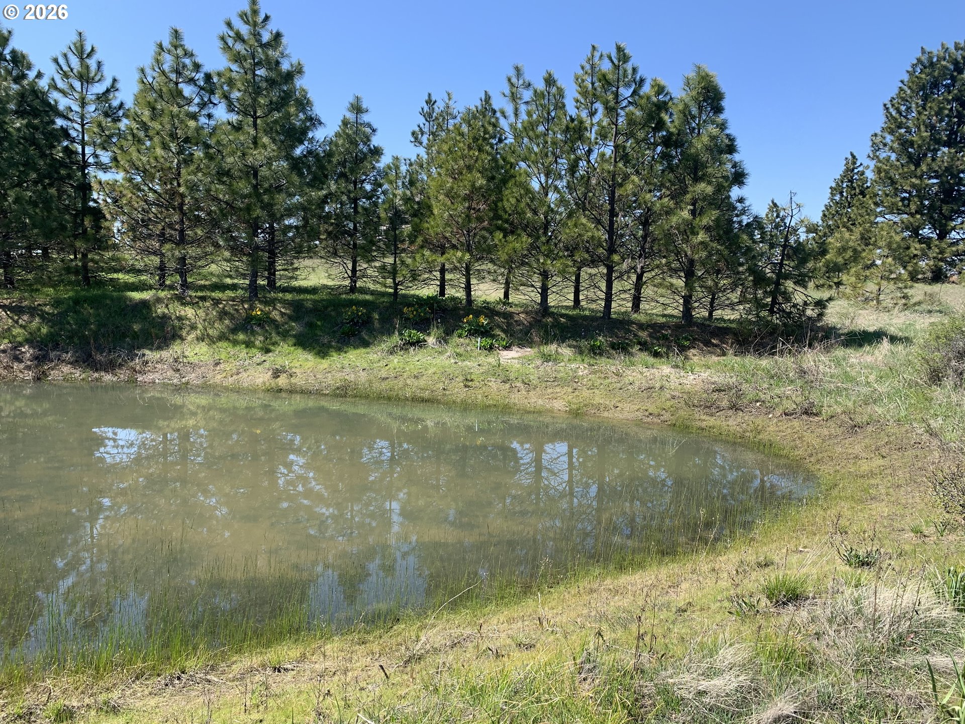45 Clark Road Lyle, WA 98635 - Photo 23 of 48