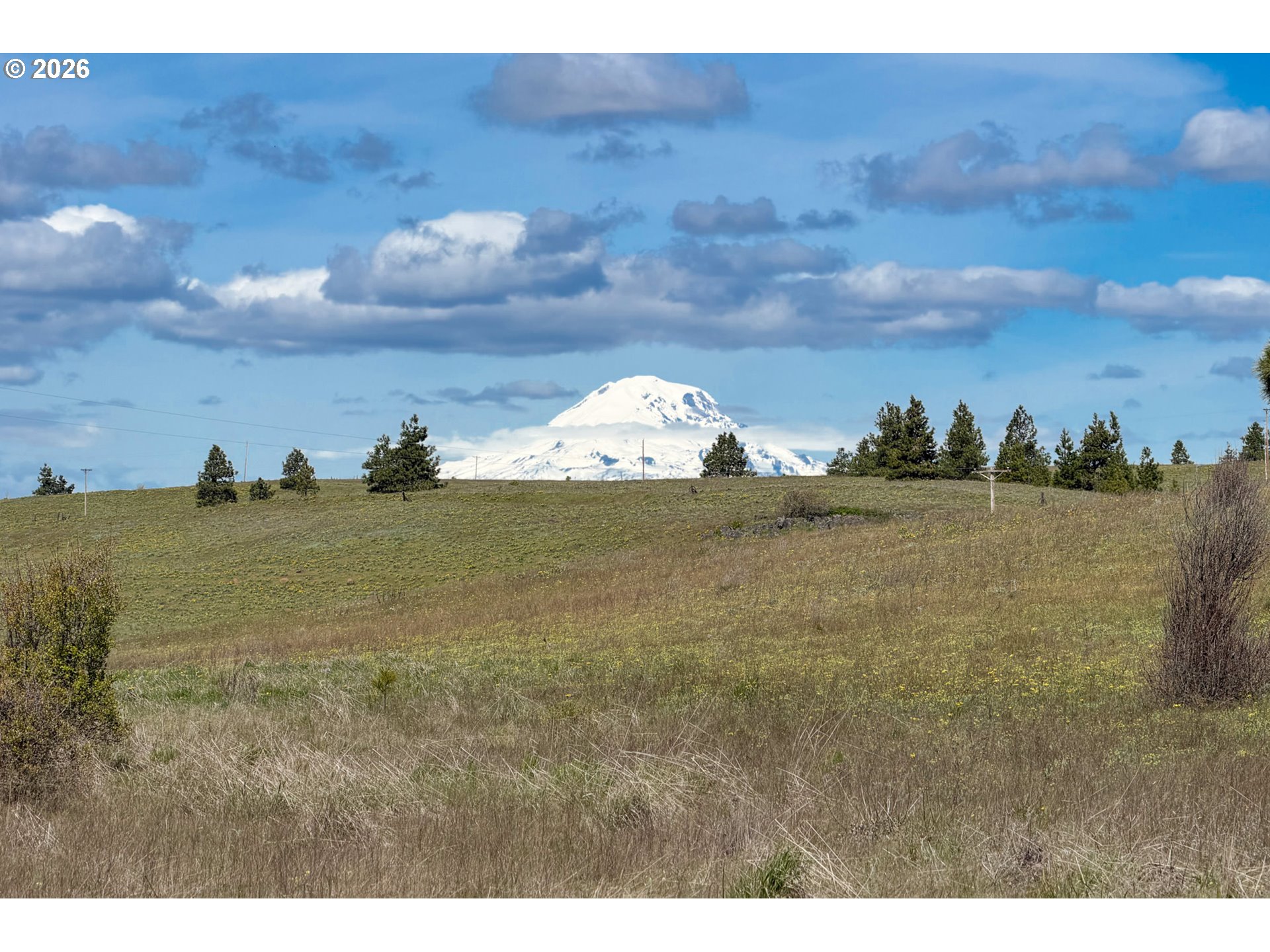 45 Clark Road Lyle, WA 98635 - Photo 30 of 48