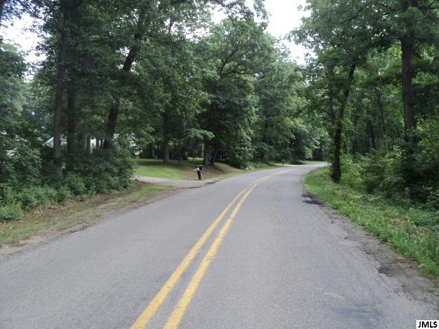 13 South Portage Road Jackson, MI 49201 - Photo 3 of 4 Photo 3