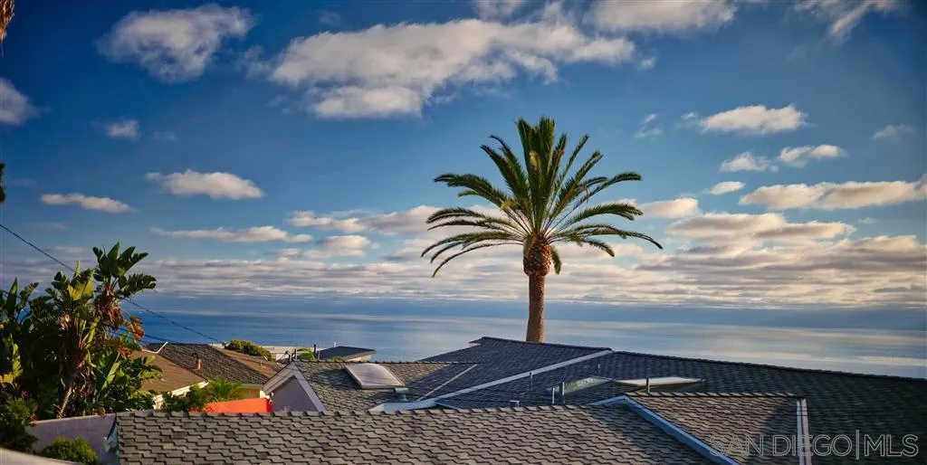 918 Sandpiper Place La Jolla, CA 92037 - Photo 12 of 25 a view of a palm tree next to a yard
