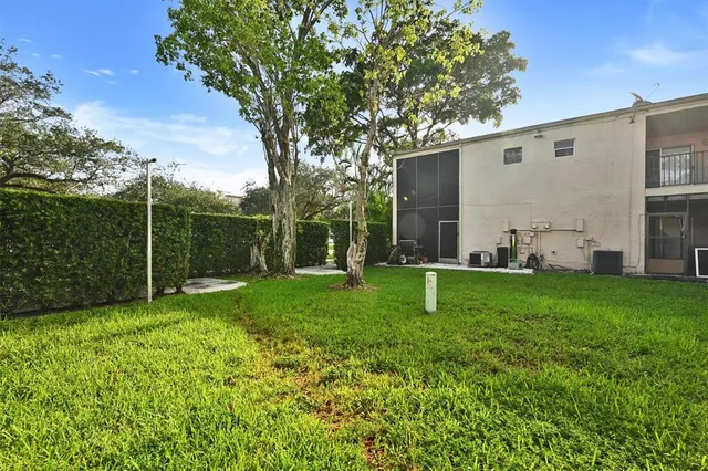 a view of a backyard with plants and a large tree