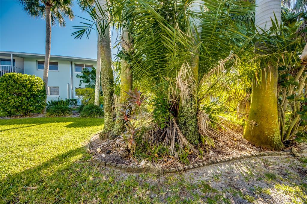 1003 Tropic Terrace North Fort Myers, FL 33903 - Photo 26 of 35 a view of a house with a yard