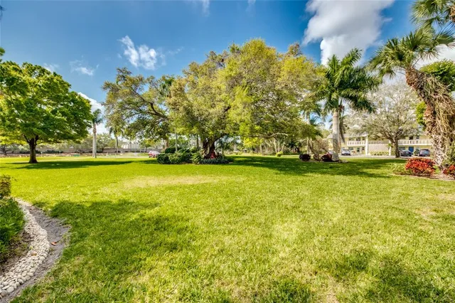 a view of an outdoor space and a yard