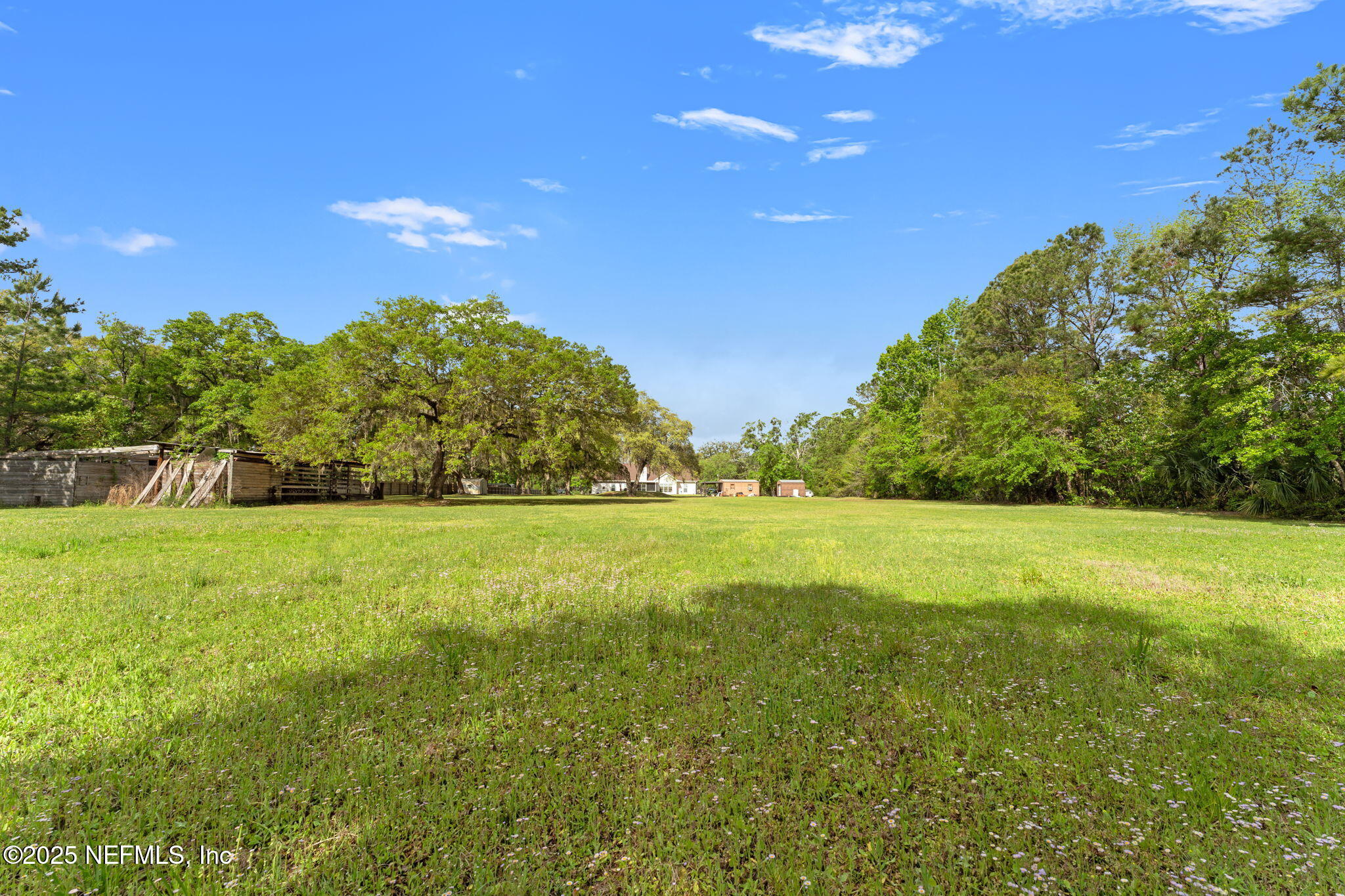 12869 Boney Road Jacksonville, FL 32226 - Photo 50 of 62 a view of a green field