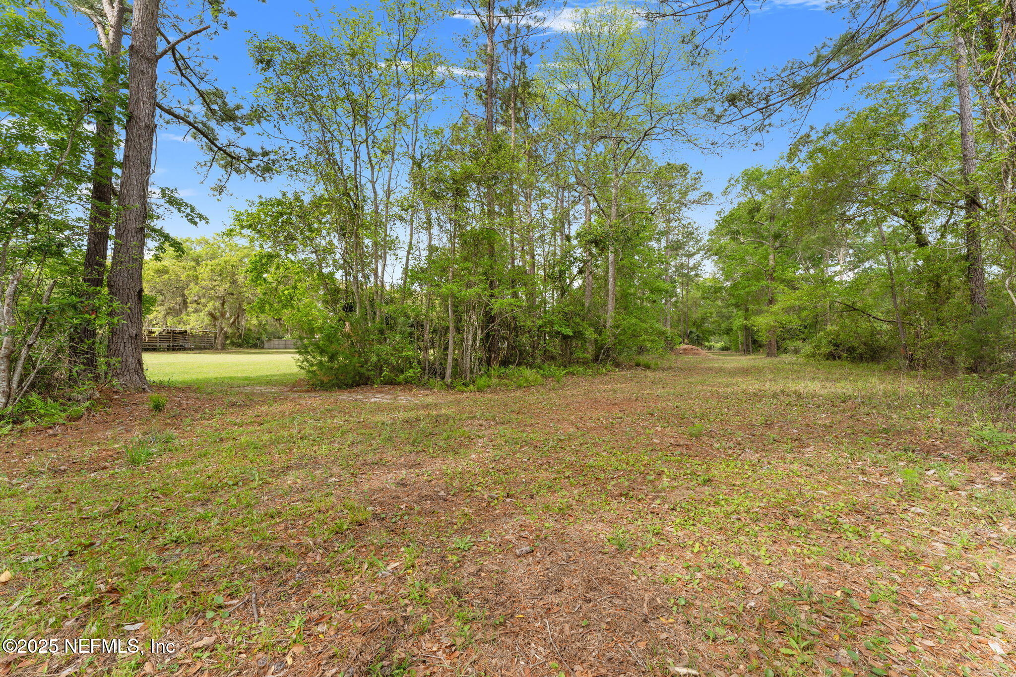 12869 Boney Road Jacksonville, FL 32226 - Photo 52 of 62 a view of outdoor space with deck and yard