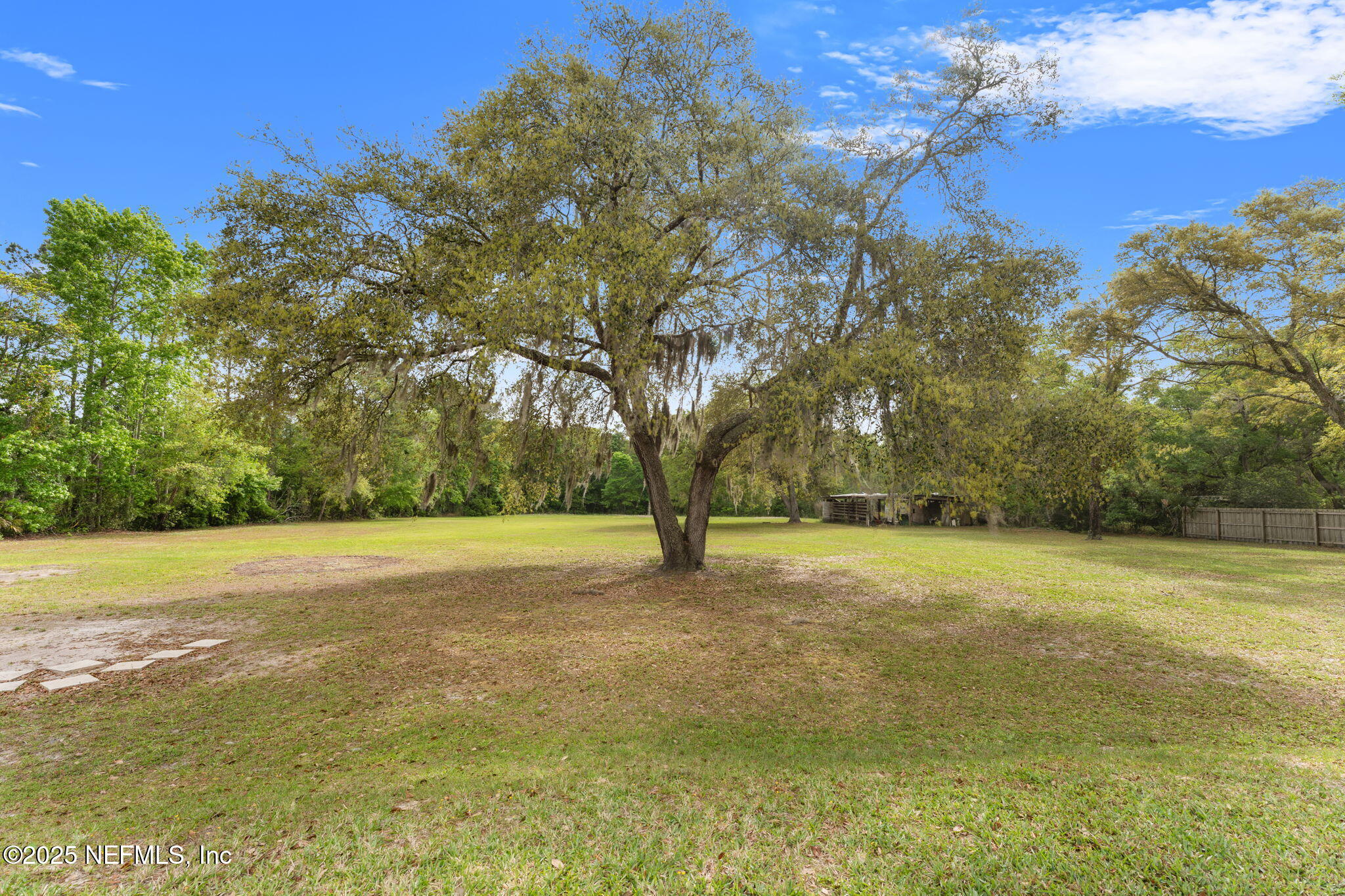 12869 Boney Road Jacksonville, FL 32226 - Photo 53 of 62 a view of a field with an trees