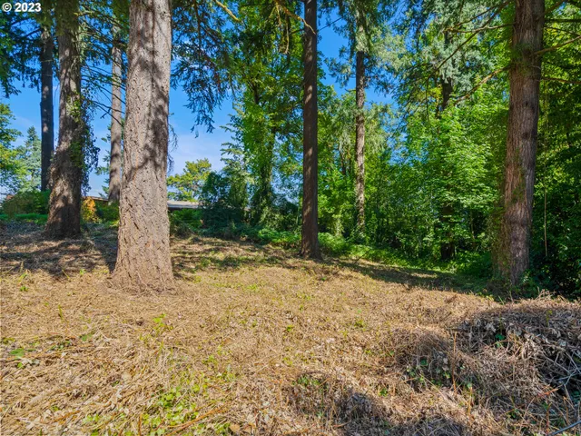 a view of backyard with large trees
