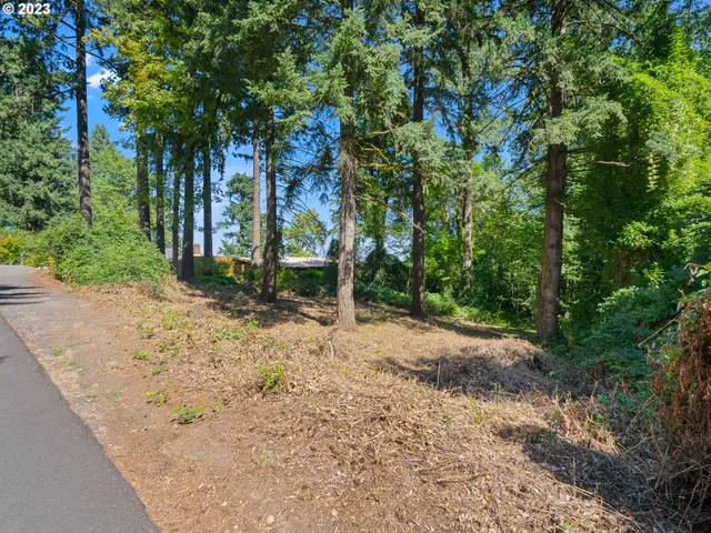 a view of a yard with plants and trees