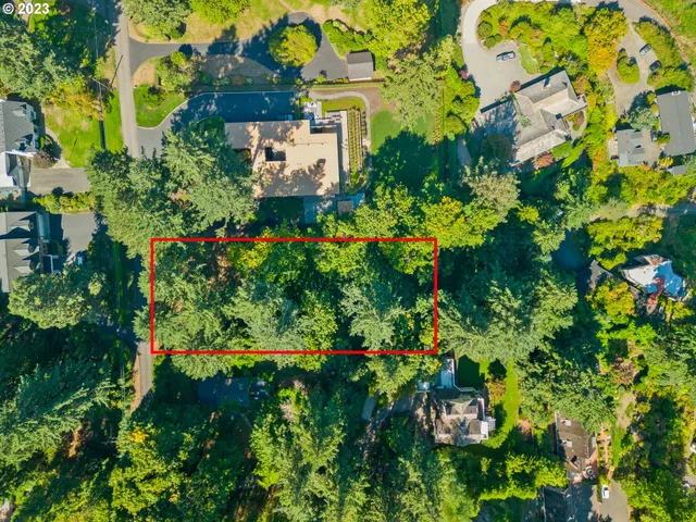 a plant that is in a garden