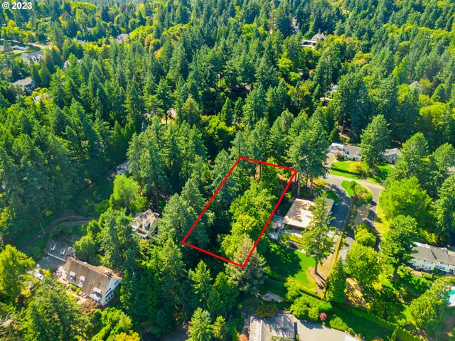 a picture of flowers