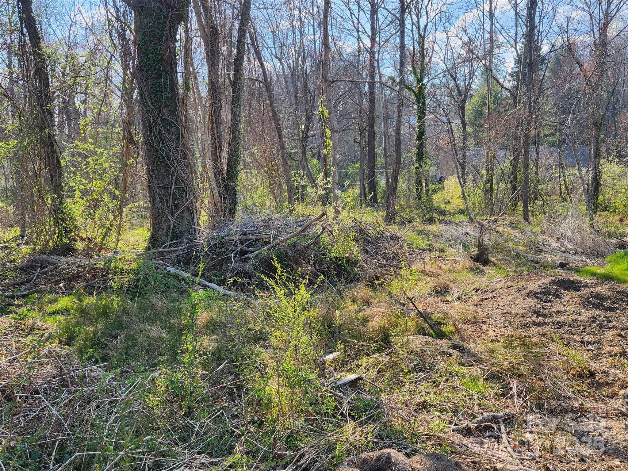 10 Whitson Road Asheville, NC 28805 - Photo 3 of 9 Gallery Image 3