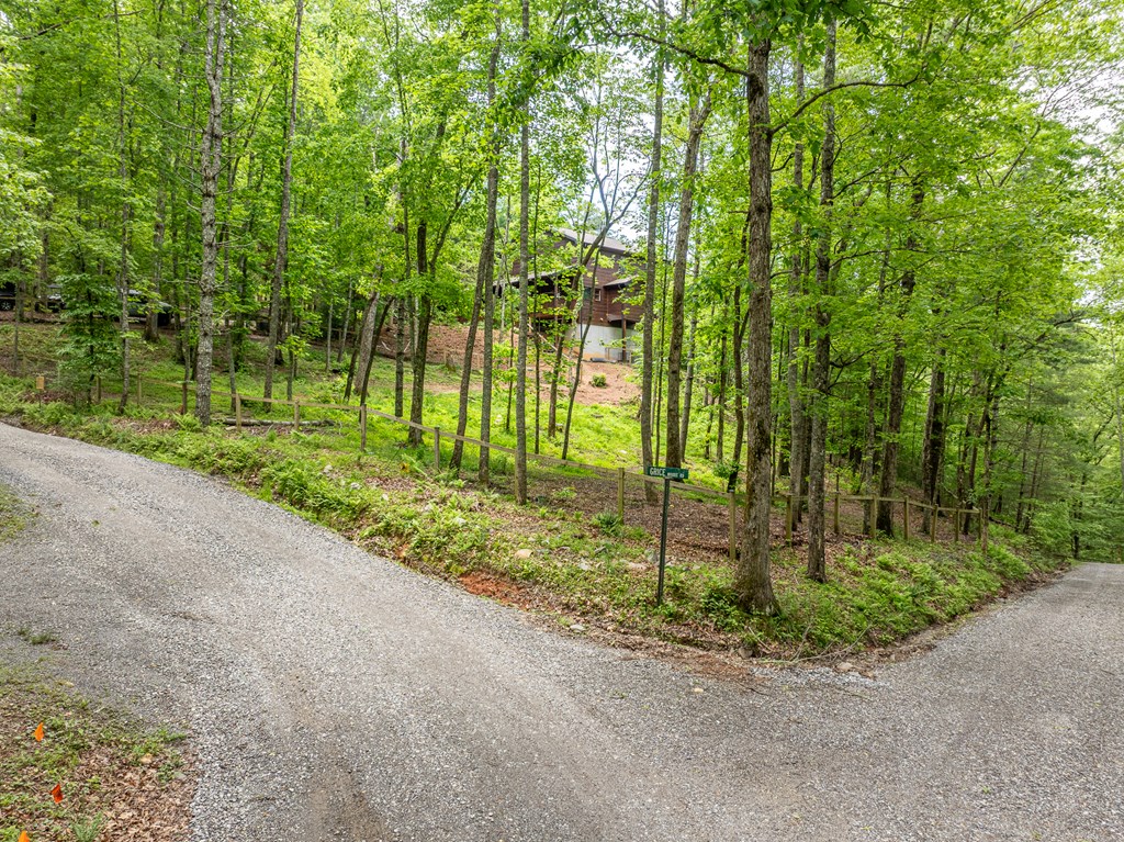 32 Grice Woods Road Blue Ridge, GA 30513 - Photo 58 of 65 Gallery Image 58