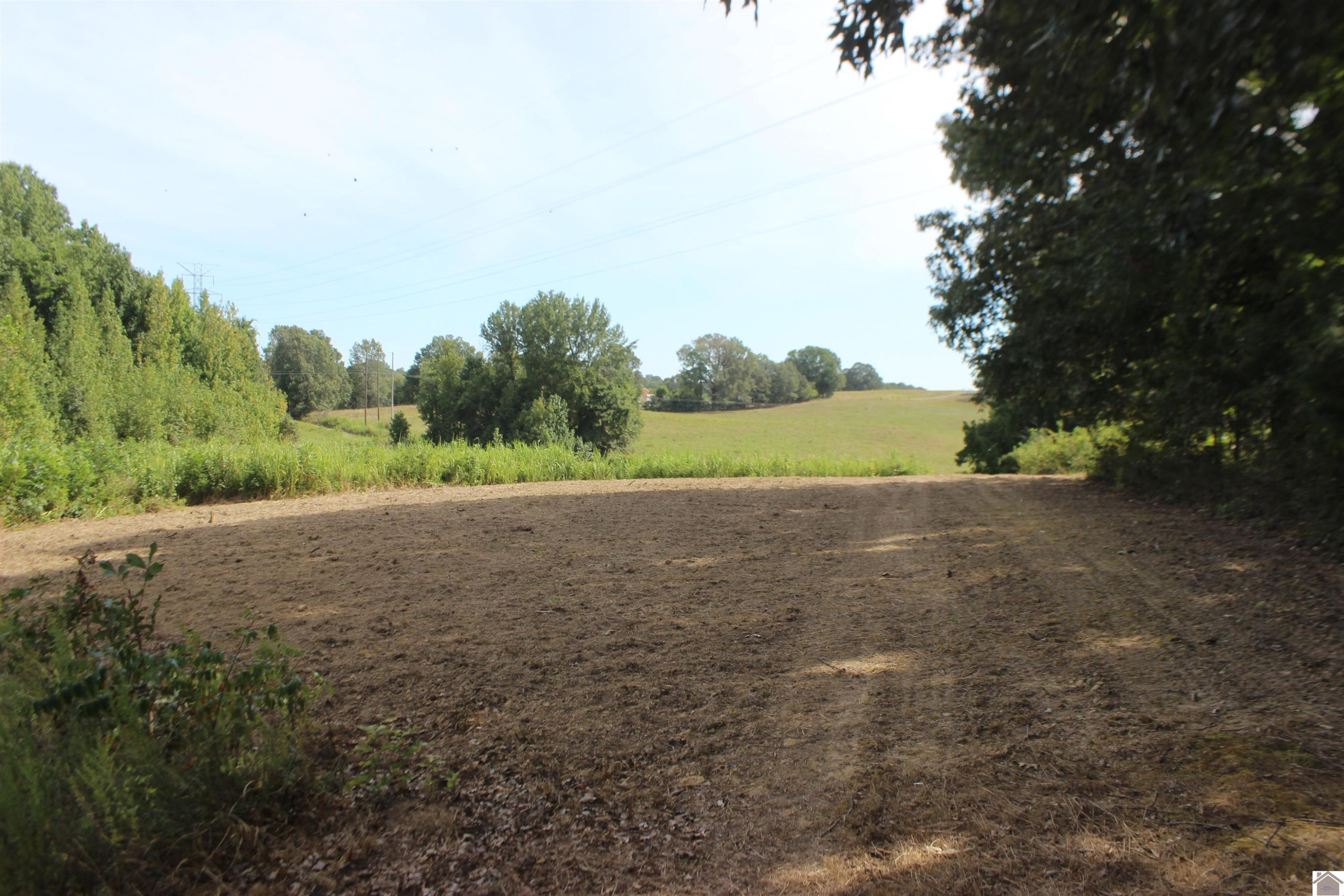 0 Corinth Church Road Grand Rivers, KY 42045 - Photo 22 of 49 Photo 22