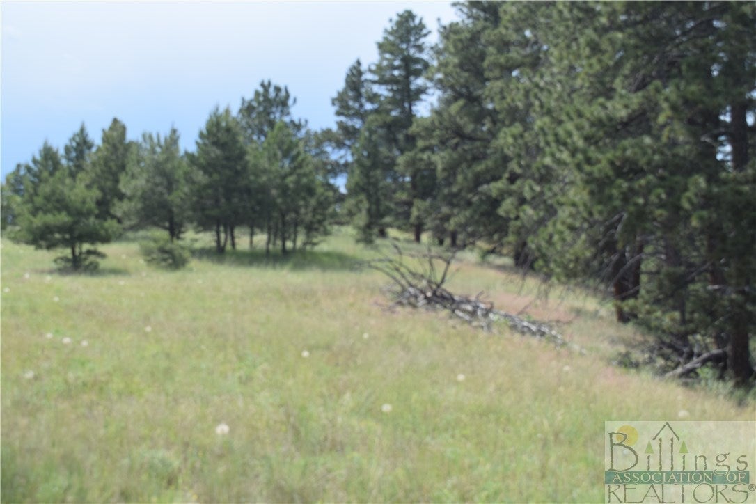 Tbd Pine Crest Road Columbus, MT 59019 - Photo 1 of 1 Gallery Image 1