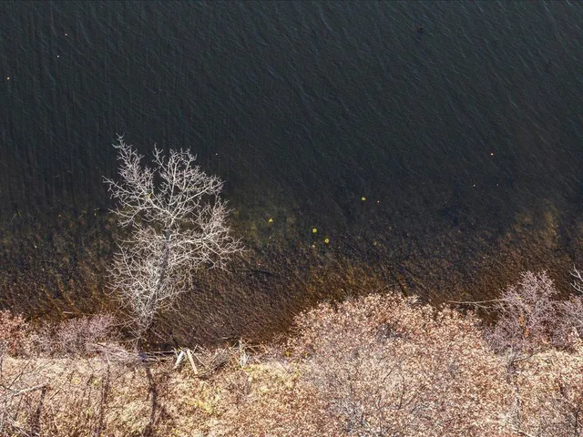 $199,900 | 21544 Bluegill Road, Ironton, MN 56455