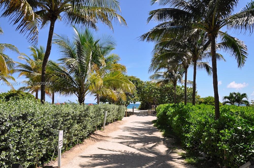 9195 Collins Avenue, Unit 611 Surfside, FL 33154 - Photo 23 of 33 a view of a backyard of a house with a palm tree