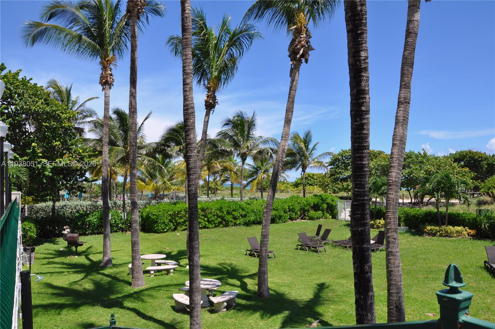 9195 Collins Avenue, Unit 611 Surfside, FL 33154 - Photo 28 of 33 a view of a yard with palm trees