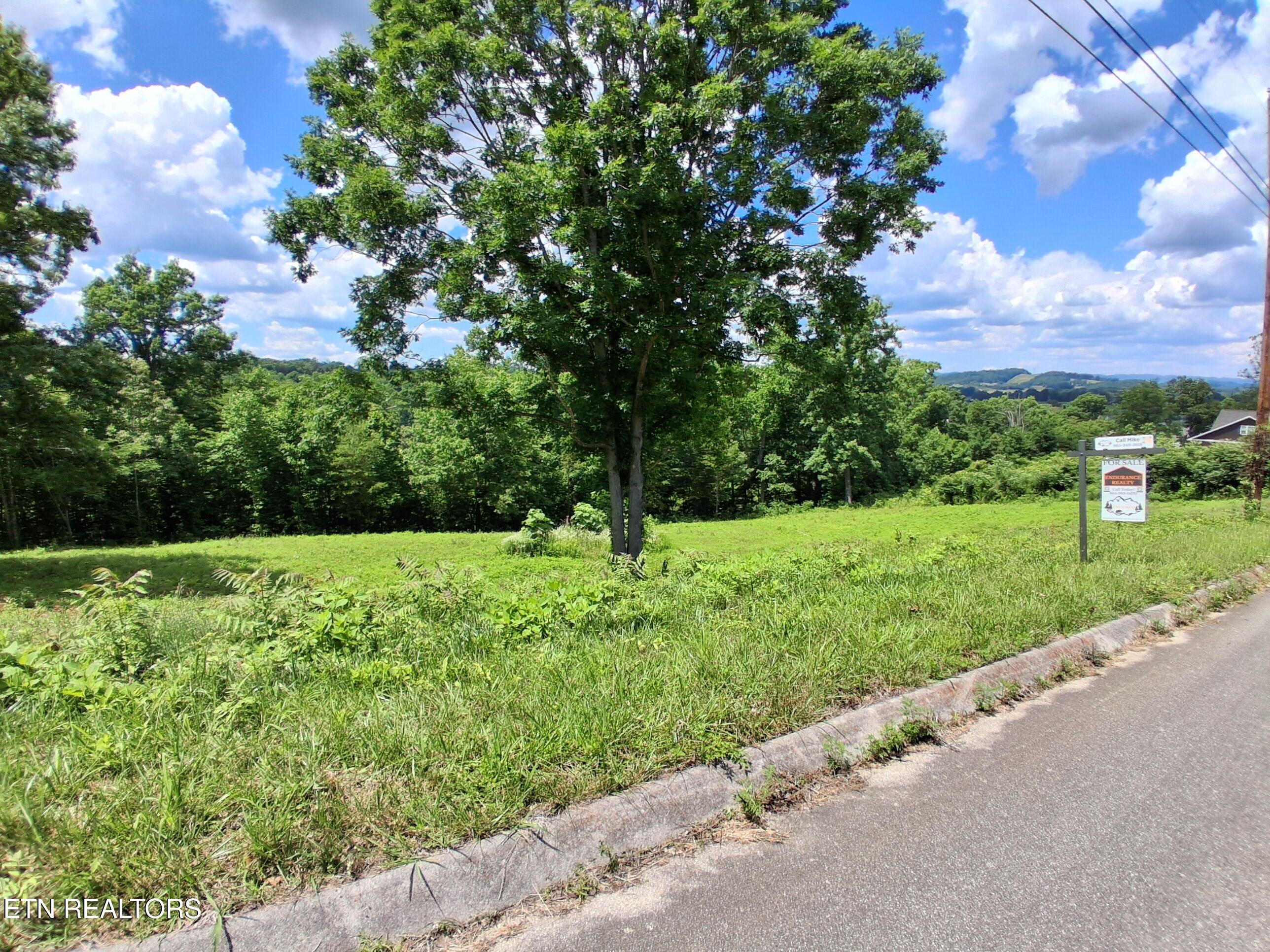 336 Woodstock Drive Rutledge, TN 37861 - Photo 7 of 8 20260602_144910