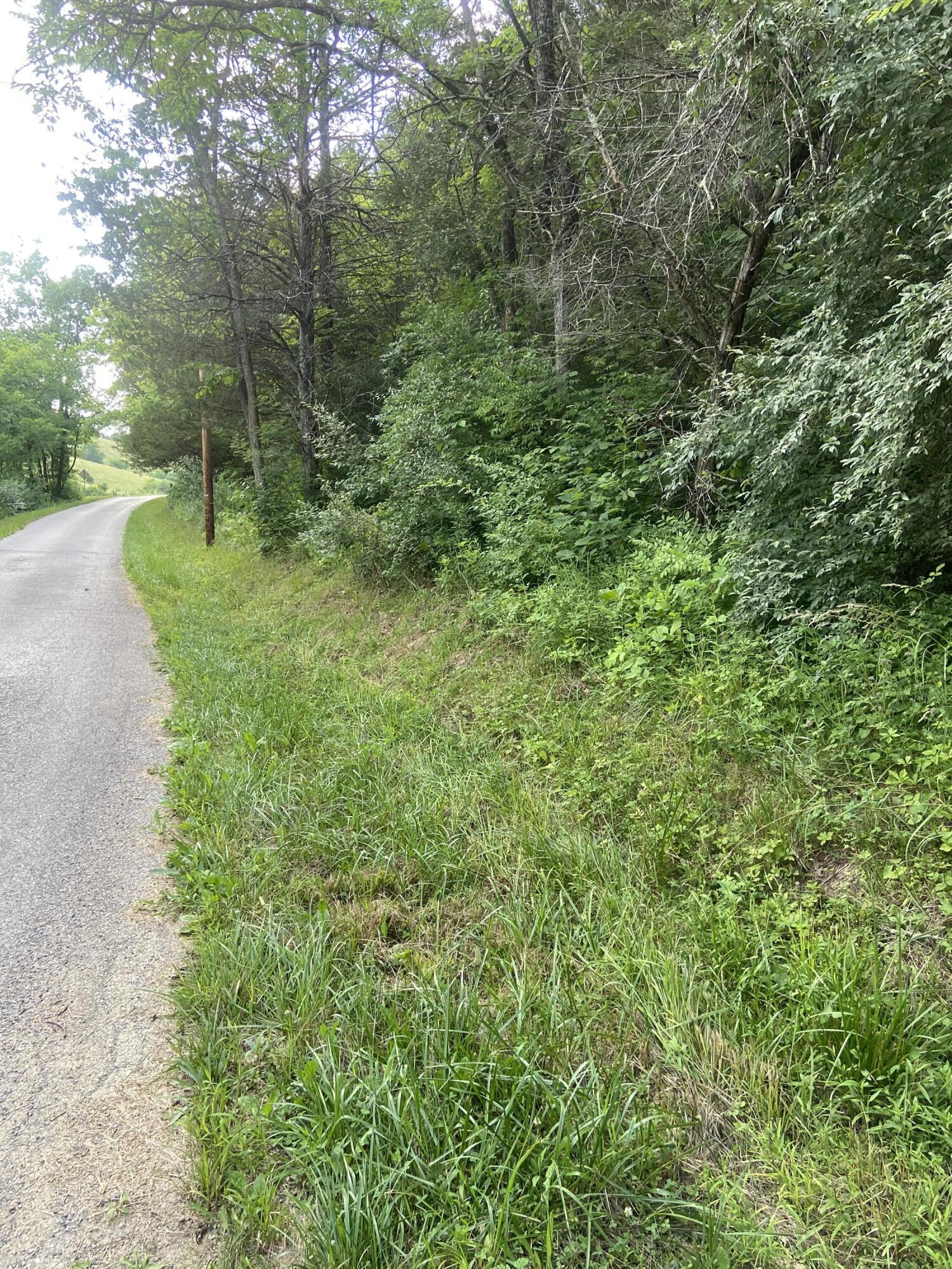 0 Wish Road California, KY 41007 - Photo 4 of 6