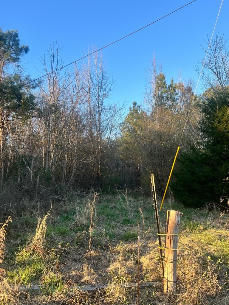 212 R Street Hamilton, GA 31811 - Photo 1 of 1 Main View