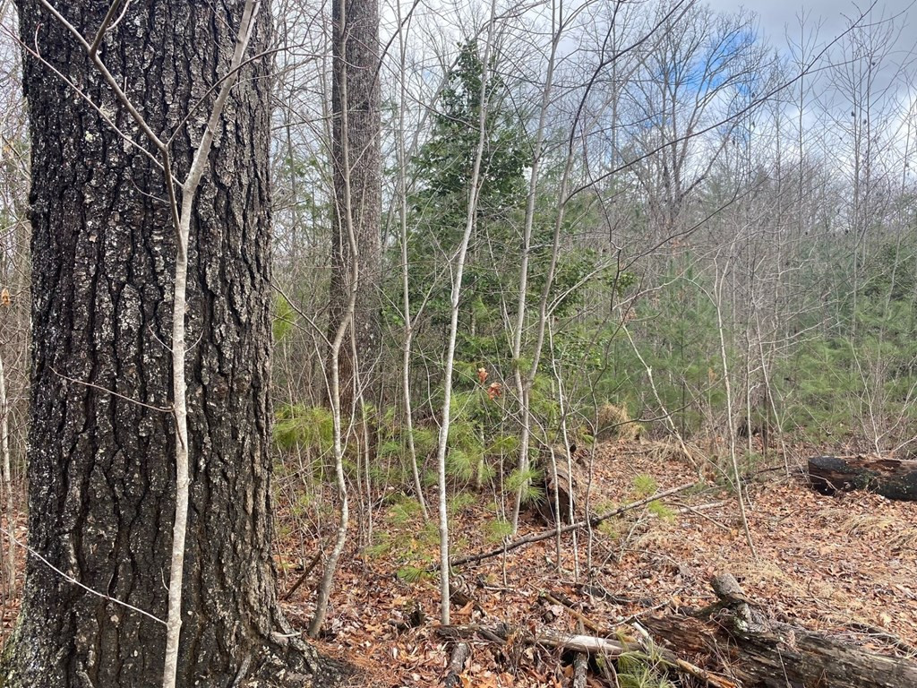 Lot 17 Appalachian Estates Road Murphy, NC 28906 - Photo 8 of 17