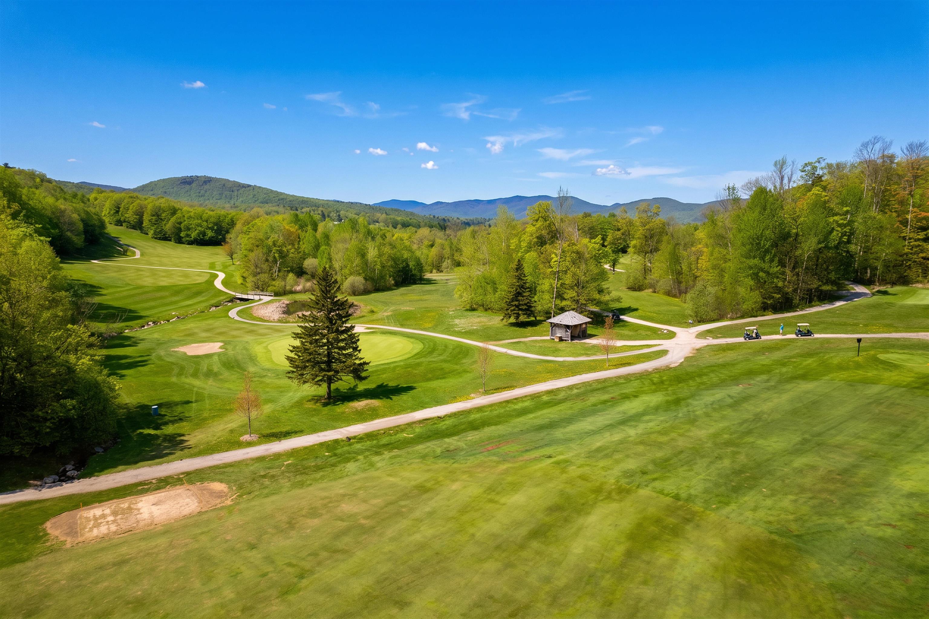 697 East Mountain Road, Unit A5 Killington, VT 05751 - Photo 5 of 33
