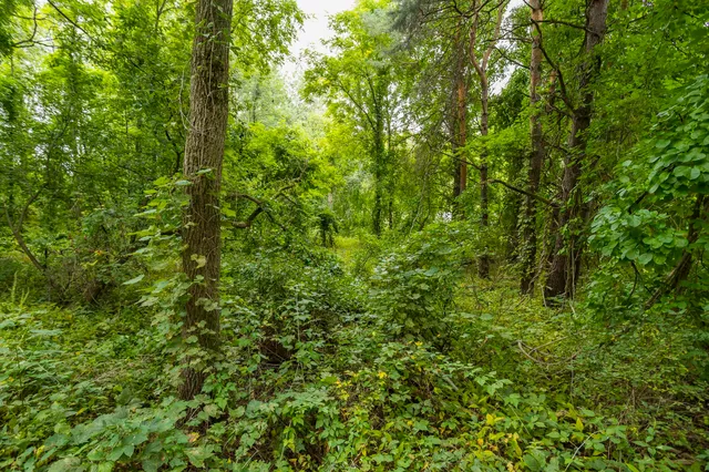 $230,000 | 60th Street Southeast, Alto, MI 49302