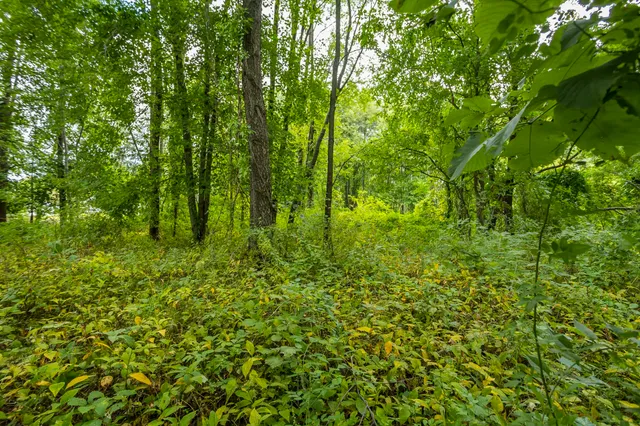 $230,000 | 60th Street Southeast, Alto, MI 49302