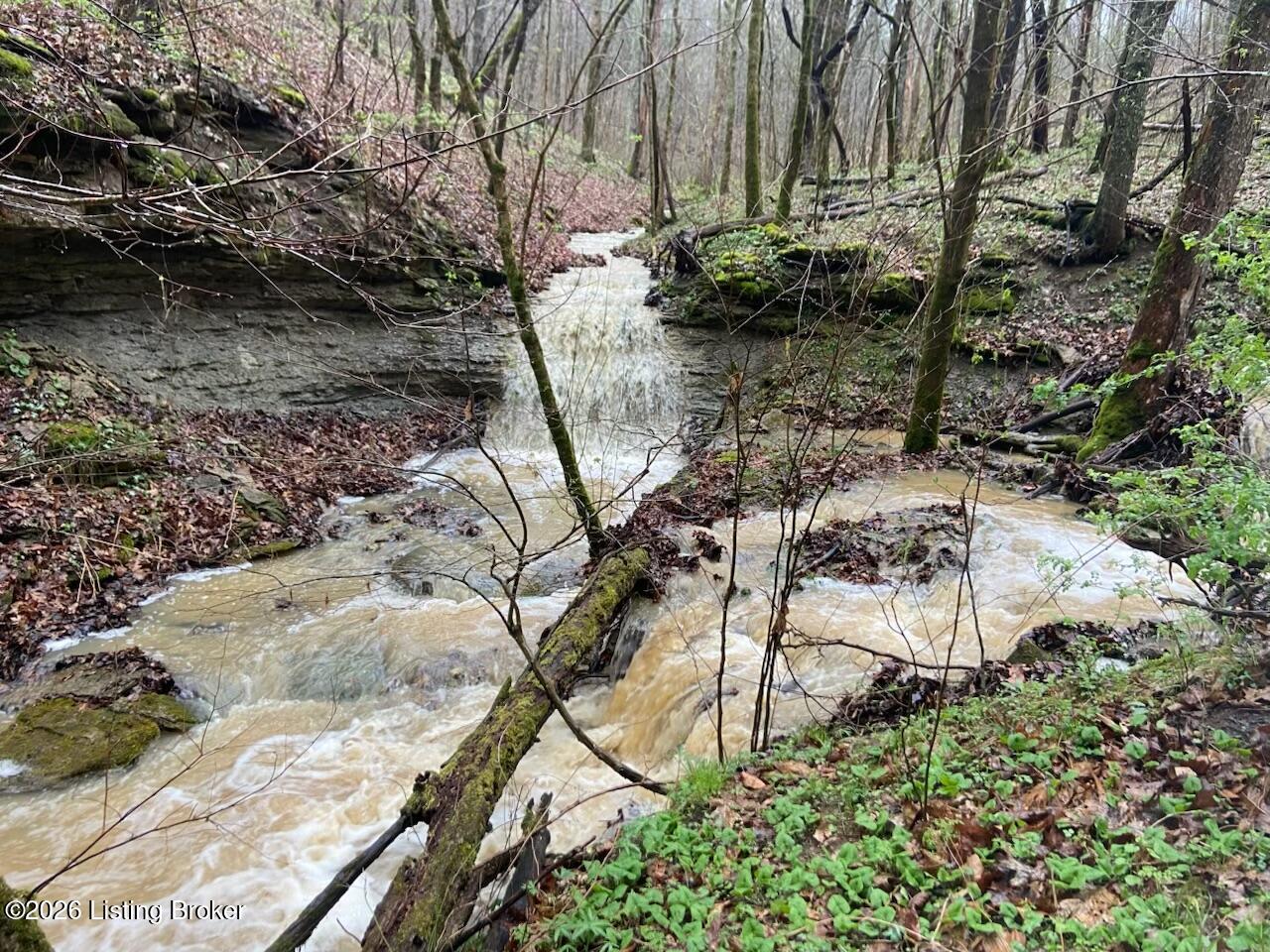 2325 Pattons Creek Road Pendleton, KY 40055 - Photo 67 of 73 IMG_7903