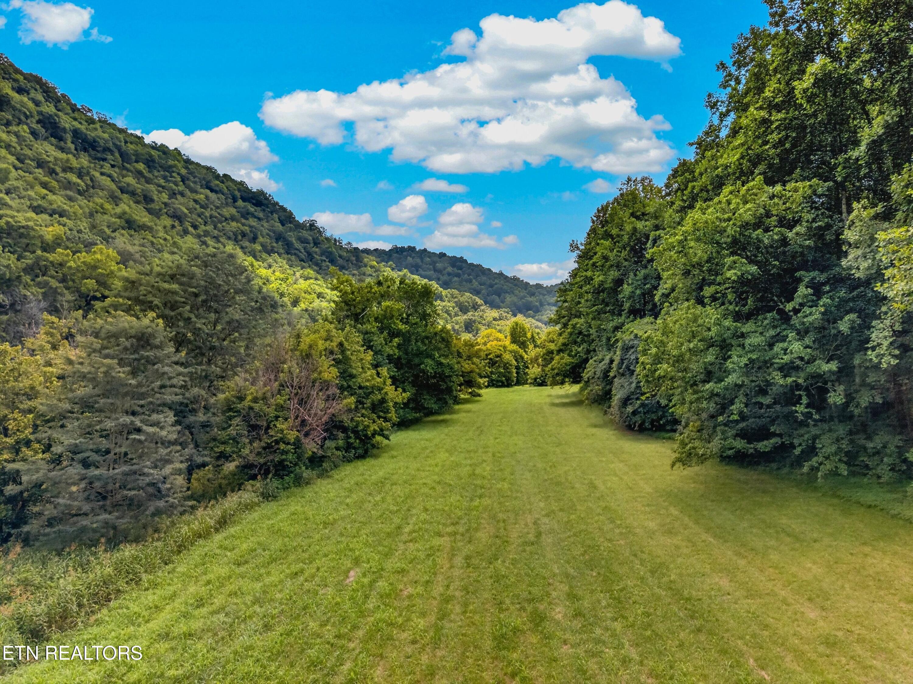 Tbd Ferguson Ridge Road Tazewell, TN 37879 - Photo 35 of 42 009