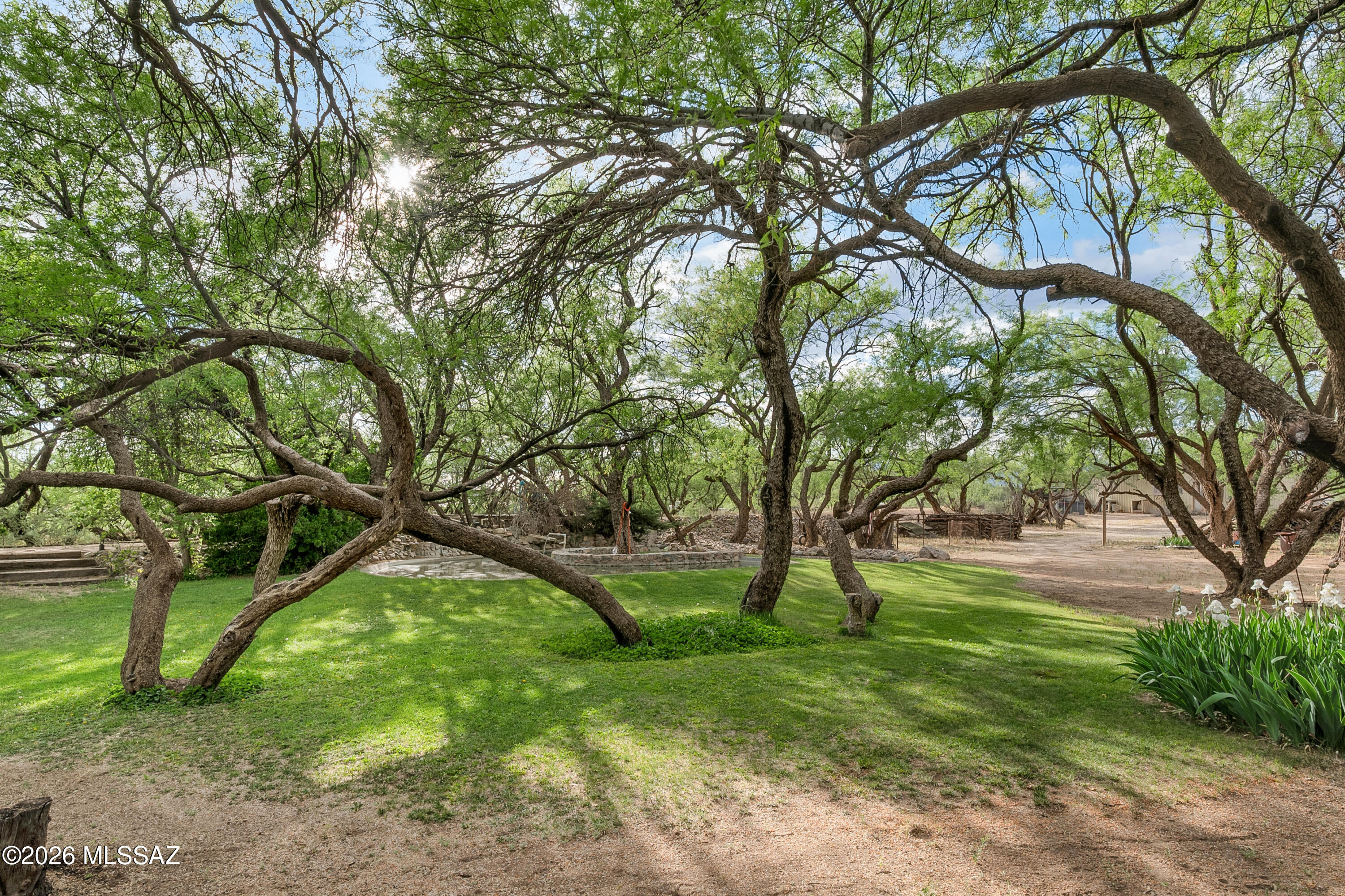 822 East Pomerene Road Benson, AZ 85602 - Photo 11 of 40 822 E Pomerene Road, Benson, AZ 85602