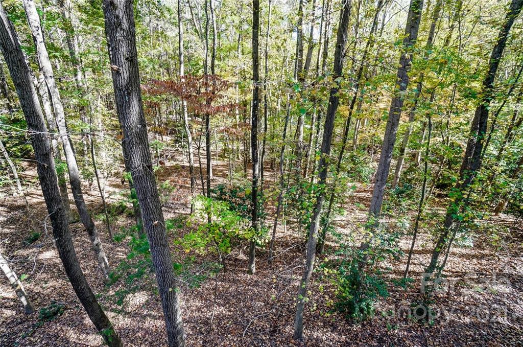31016 Executive Point, Unit 15 Tega Cay, SC 29708 - Photo 21 of 35 a view of forest