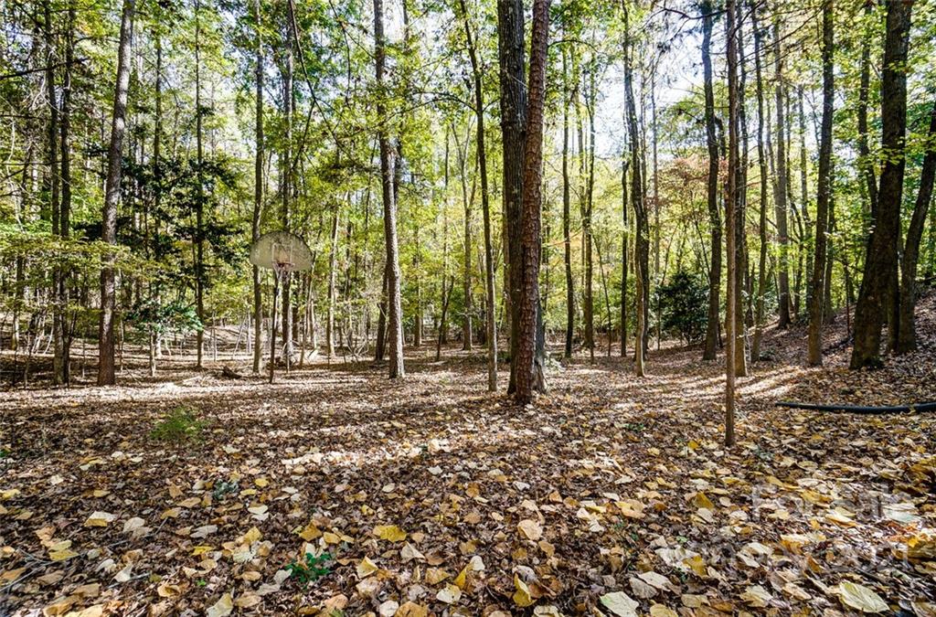 31016 Executive Point, Unit 15 Tega Cay, SC 29708 - Photo 31 of 35 a backyard of a house with lots of green space
