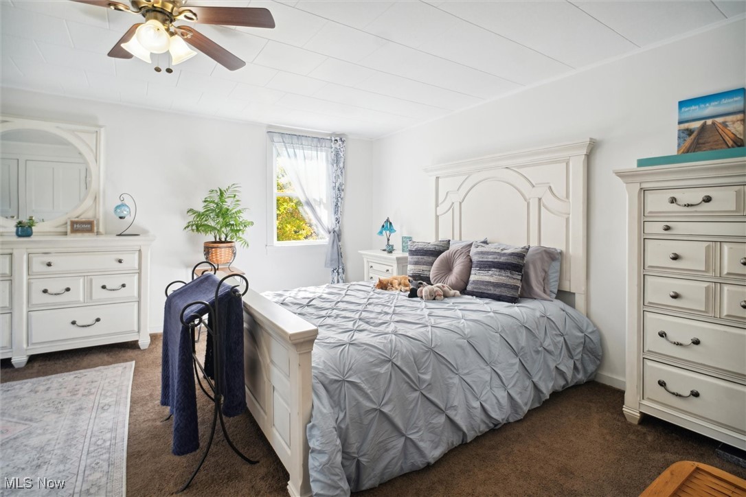 13930 Carter Road Wakeman, OH 44889 - Photo 23 of 45 Bedroom with ceiling fan and dark colored carpet