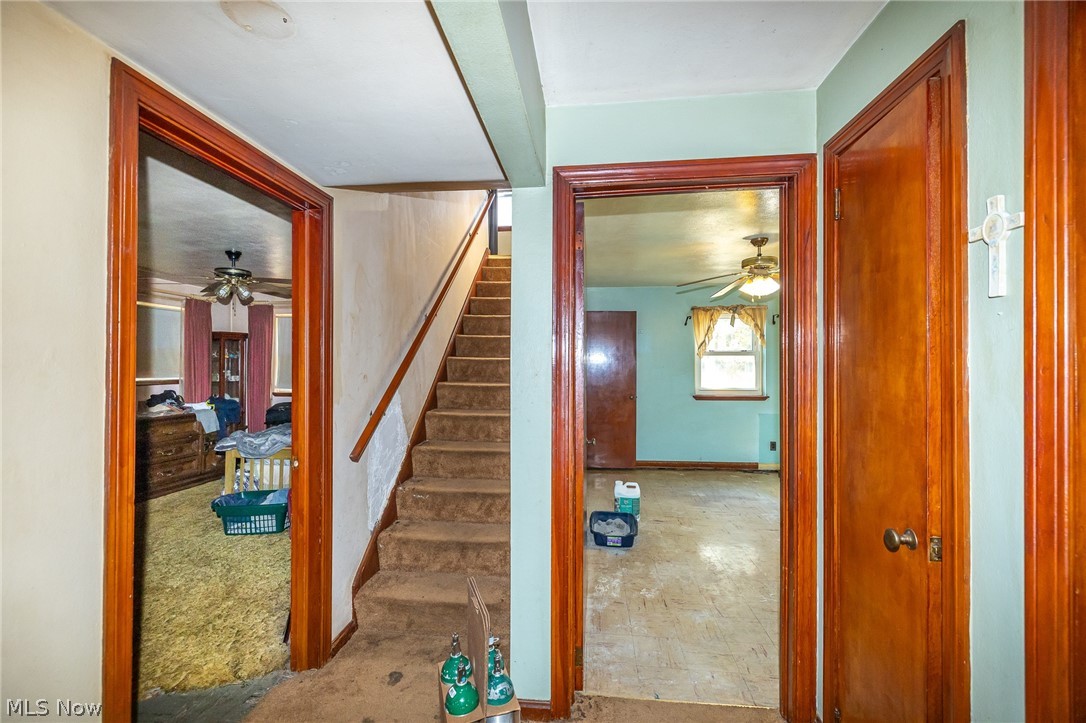 7168 Case Road North Ridgeville, OH 44039 - Photo 13 of 22