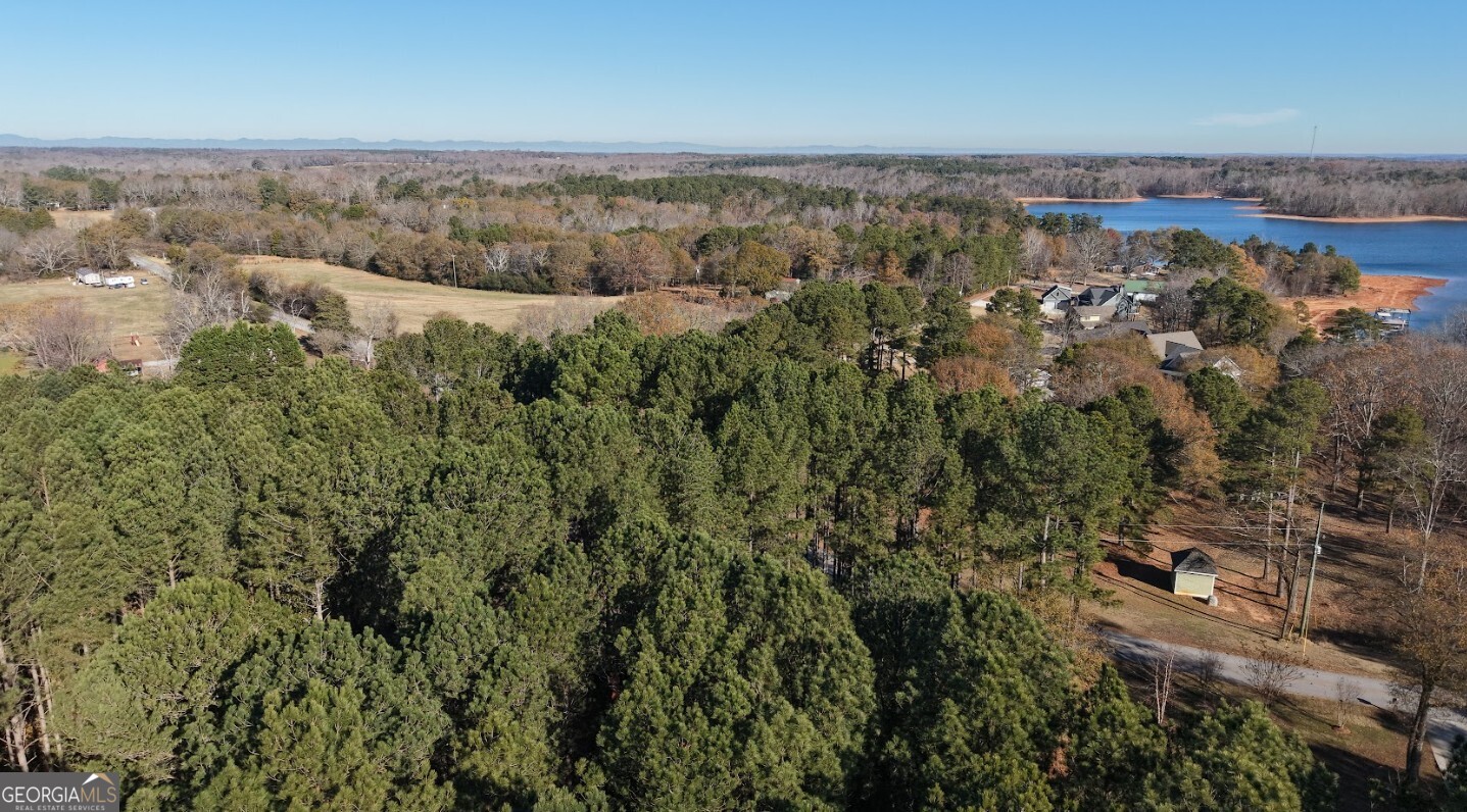 0 Yacht Club Road, Unit LOT 4 Hartwell, GA 30643 - Photo 15 of 33