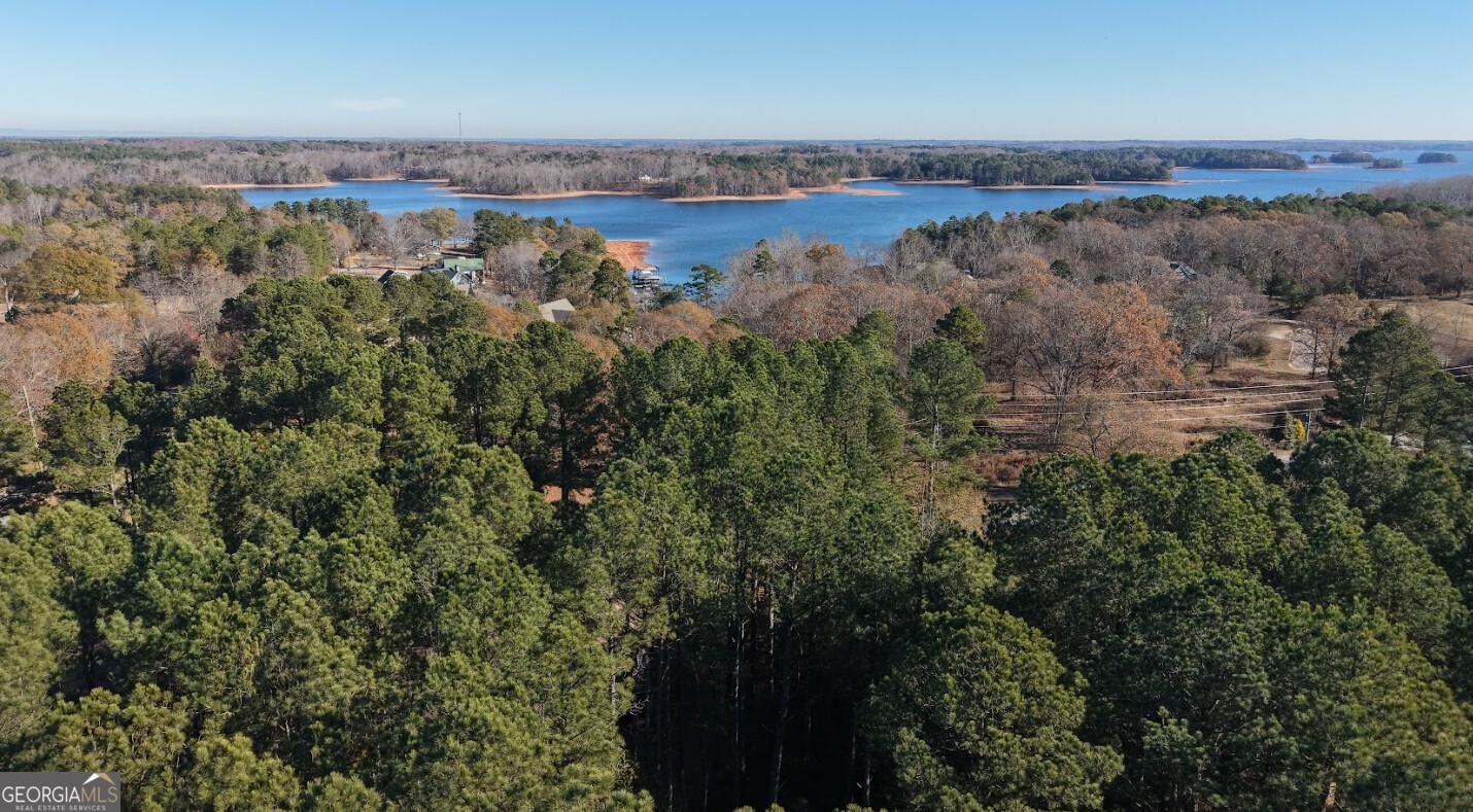 0 Yacht Club Road, Unit LOT 4 Hartwell, GA 30643 - Photo 18 of 33