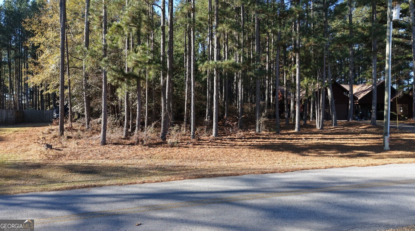 0 Yacht Club Road, Unit LOT 4 Hartwell, GA 30643 - Photo 27 of 33