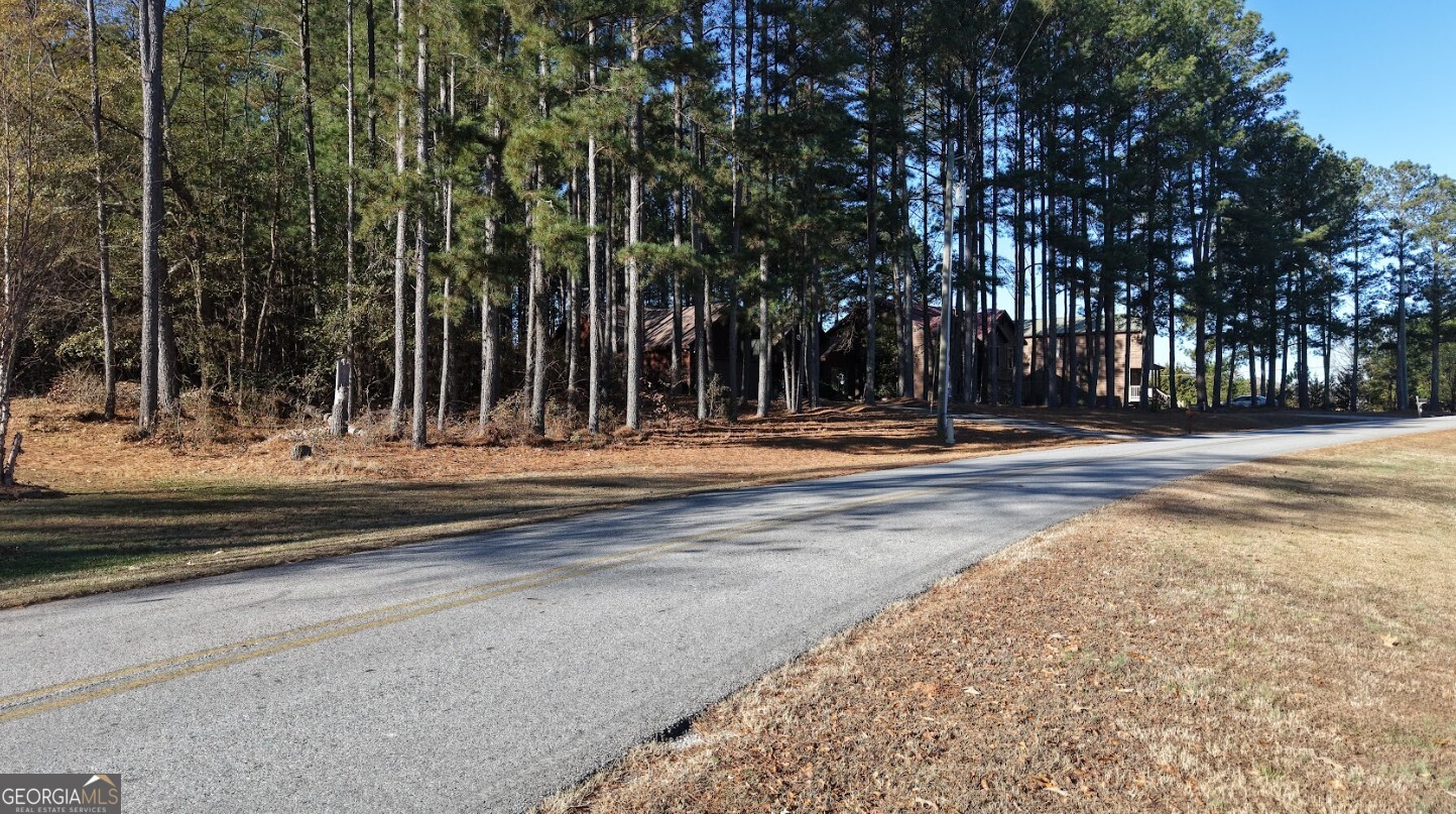0 Yacht Club Road, Unit LOT 4 Hartwell, GA 30643 - Photo 30 of 33